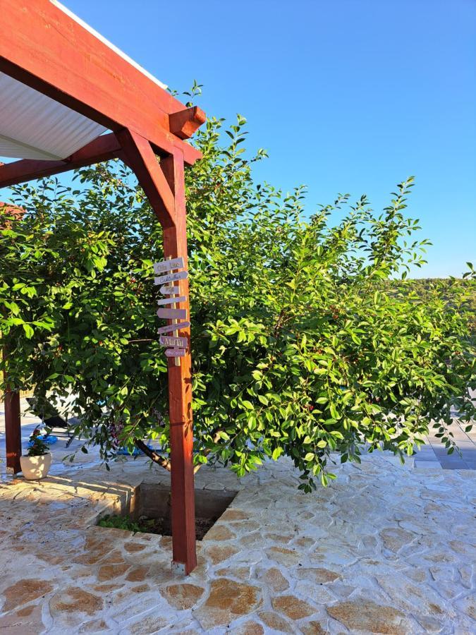 Guest House "The View" - With A Pool Donje Polje Exterior foto
